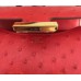 Replica Handbag Store Mini Constance 18cm Red Ostrich Leather