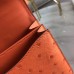 Replica Handbag Store Mini Constance 18cm Orange Ostrich Leather