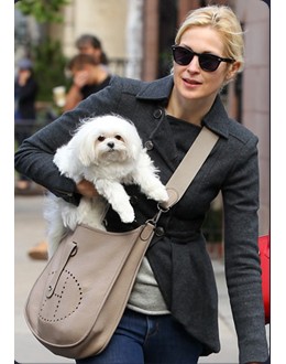 Replica Handbag Store Evelyne Bag