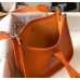 Replica Handbag Store Orange Evelyne II TPM Messenger Bag